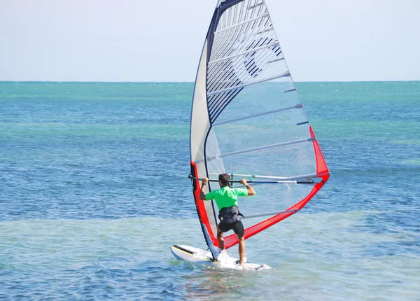 Φλόριντα windsurfer — Φωτογραφία Αρχείου