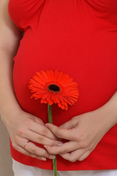 Gravid kvinna med en blomma — Stockfoto