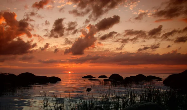 Golfo Finlandia Verano Una Decadencia Carmesí Hermosas Nubes Agua Noche —  Fotos de Stock