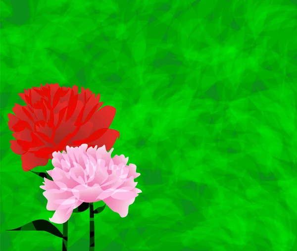 A két pünkösdi rózsa, egy zöld háttér — Stock Vector
