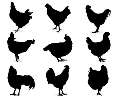 Silhouette of hens clipart