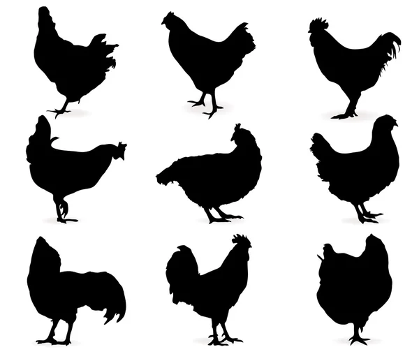 Silhouette delle galline — Vettoriale Stock