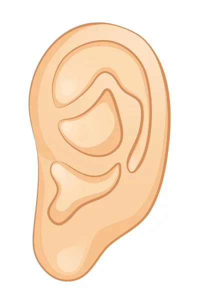 Oído — Archivo Imágenes Vectoriales