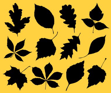 Leaf set clipart