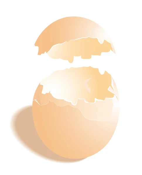 치킨 계란 — 스톡 벡터