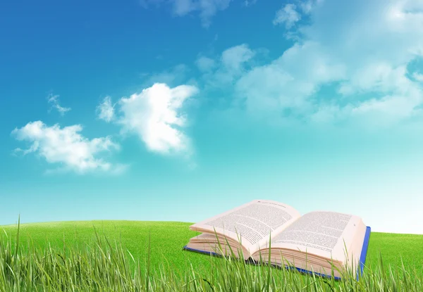 Floating Bible In Field — Stock Photo © Kevron2002 #30830973