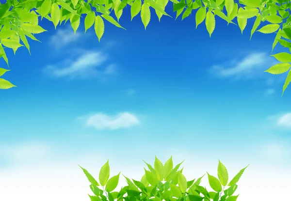 Сяючий Зелений Лист Синьому Фоні — стокове фото