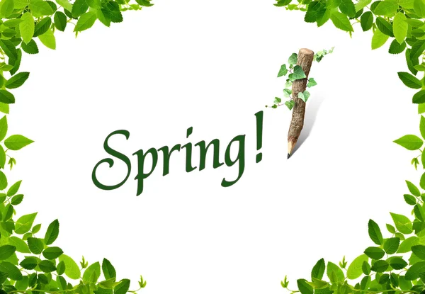 Spring Word Whit Nice Green Frames — Stock Photo, Image