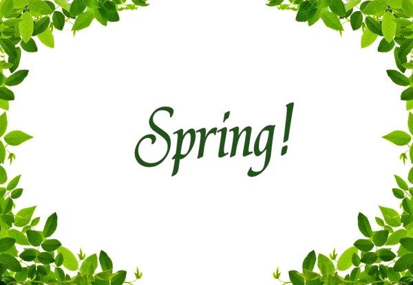 Spring Word Whit Nice Green Frames — Stock Photo, Image
