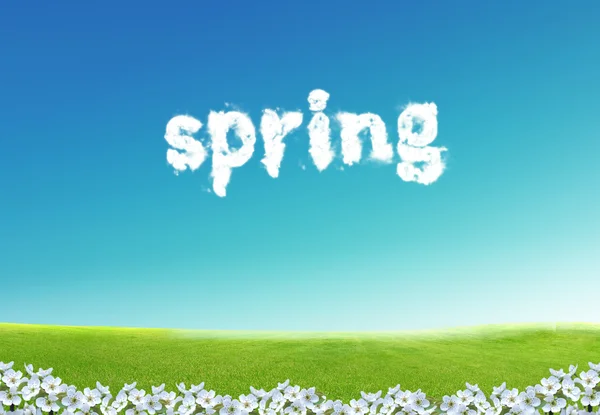 Гарні Весняні Білі Квіти Вашого Дизайну — стокове фото