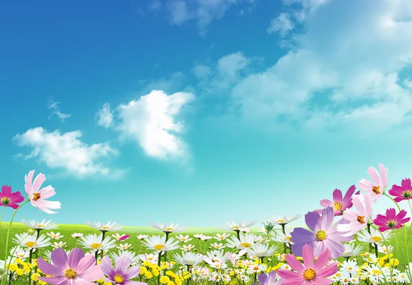 Ładne Wiosenne Sytuacji Projekt Tle Nieba — Zdjęcie stockowe