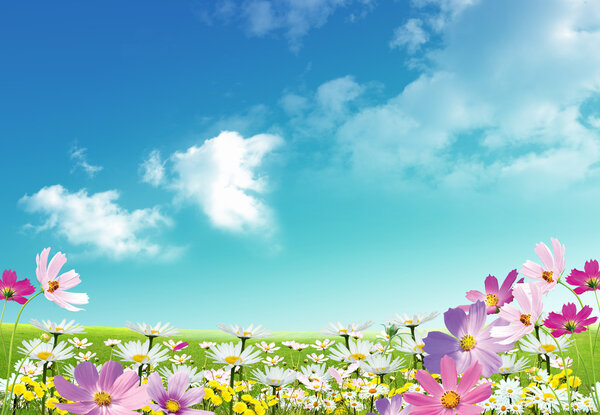Nice spring situation for your design on sky background