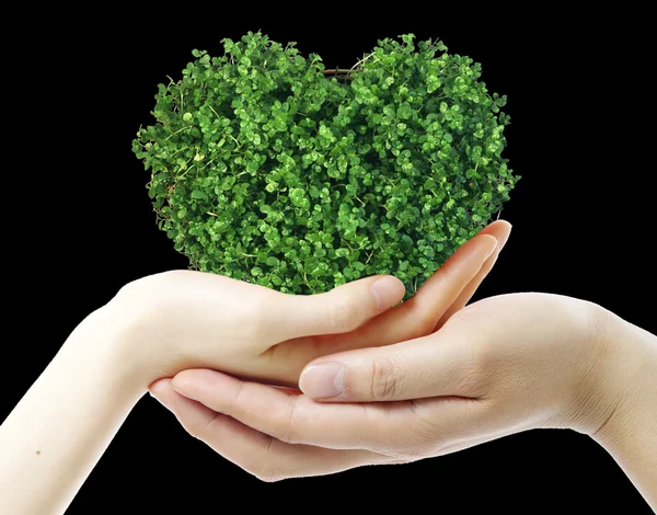 Hände Und Grünes Herz Auf Schwarzem Hintergrund — Stockfoto