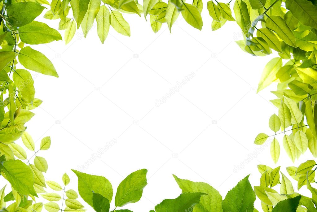 Green frame on the white background for your design