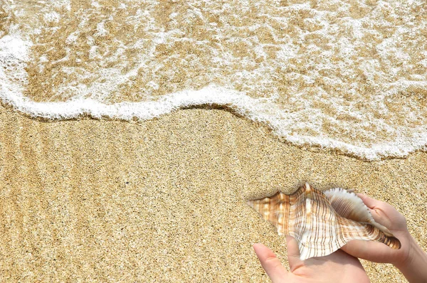 Nice Summer Situation Seaside — Stock Photo, Image