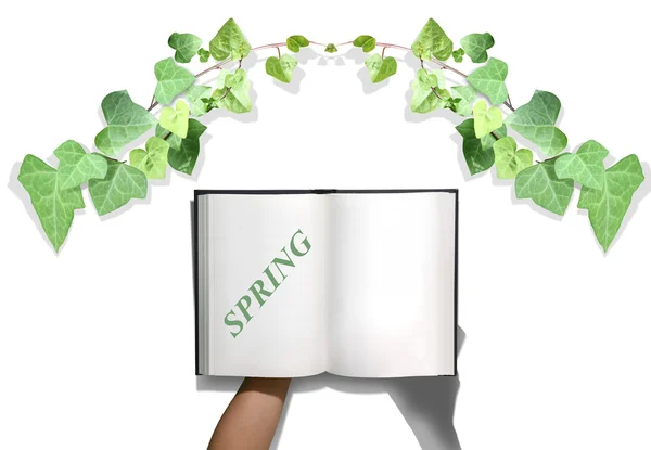 Nature and book — Stock Photo, Image