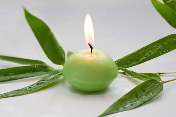 Brennende Kerze und Bambusblätter — Stockfoto