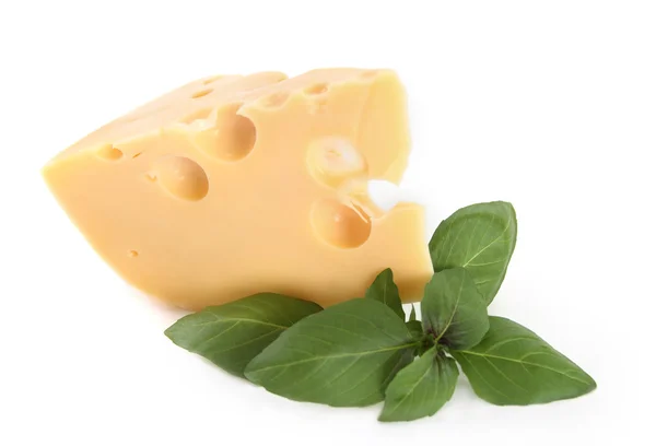 Delicious cheese with basil Stock Photo