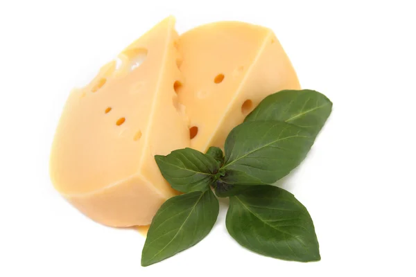 Delicioso queijo com manjericão — Fotografia de Stock