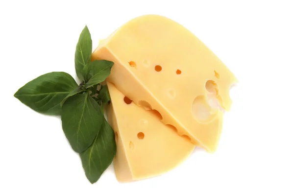 Delicious cheese with basil — Stock Photo, Image