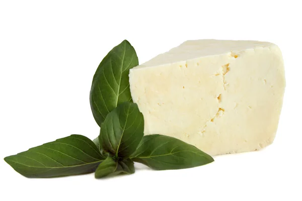 Brynza cheese with basil Royalty Free Stock Images