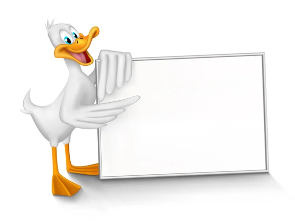 White duck — Stock Photo, Image