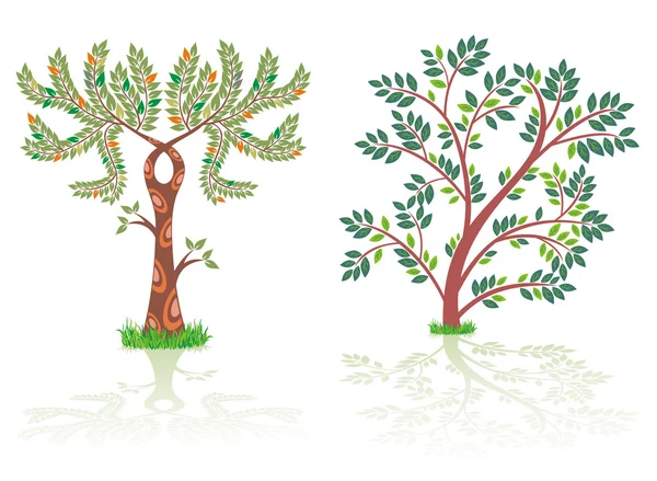 Ensemble d'arbres verts . — Image vectorielle