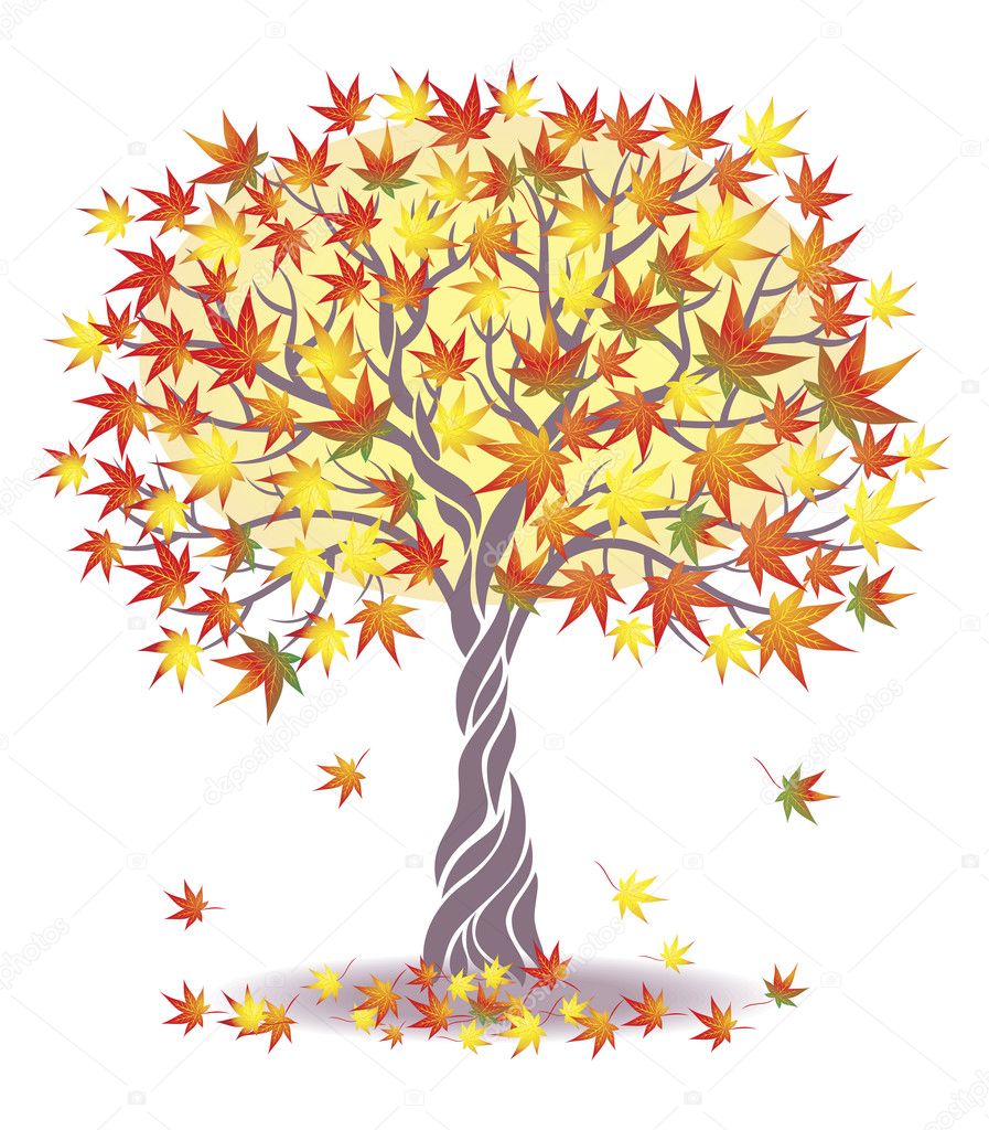 simple maple tree drawing