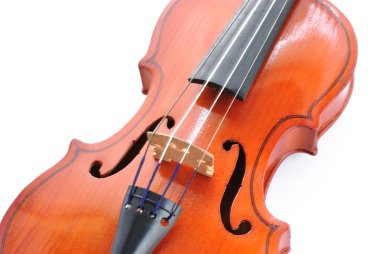 Part of violin on white background clipart