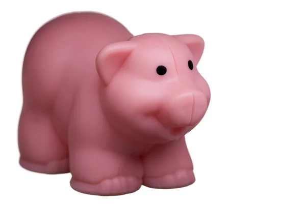 Рожевий свиня іграшка — стокове фото
