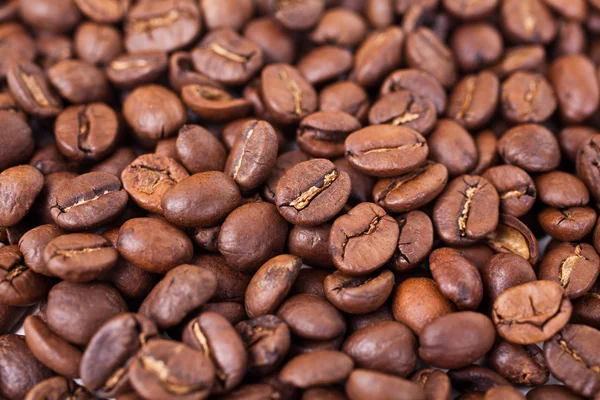 stock image Coffee beans