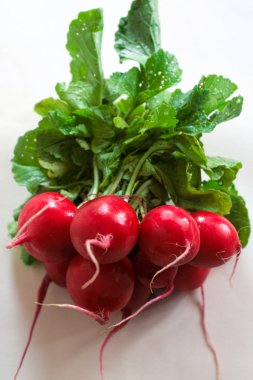 Bunch of radishes