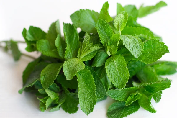 stock image Fresh mint