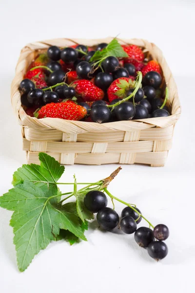 stock image Summer berries