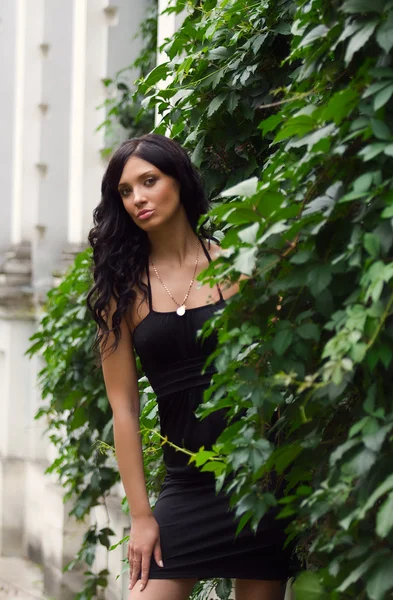 Stock image Beautiful brunette woman in a black dress