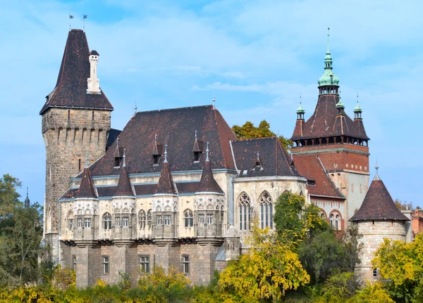 Burg von vajdahunyad — Stockfoto