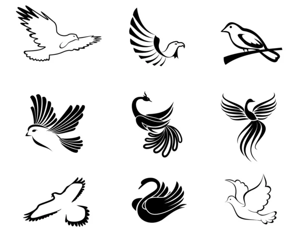 Símbolos de aves — Vetor de Stock