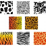 Animal Skins — Stock Vector © solid-istanbul #6503886
