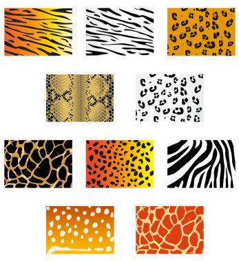 Animal fur and skin clipart