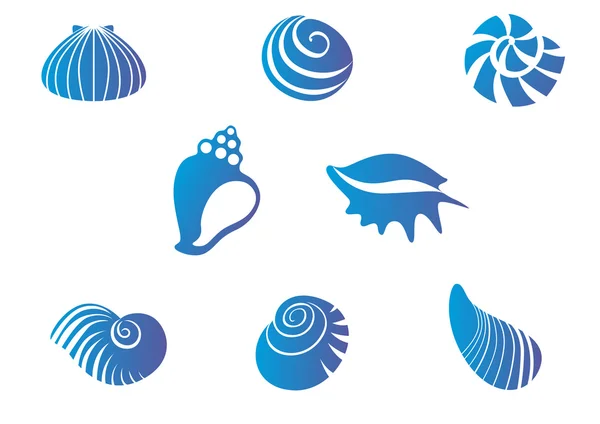 Conjunto de conchas marinas — Vector de stock