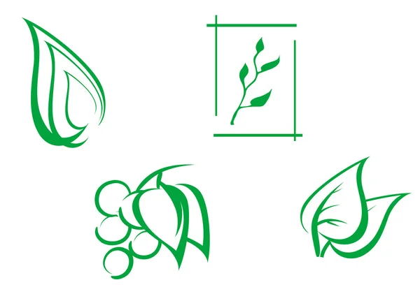 Set di foglie simboli — Vettoriale Stock