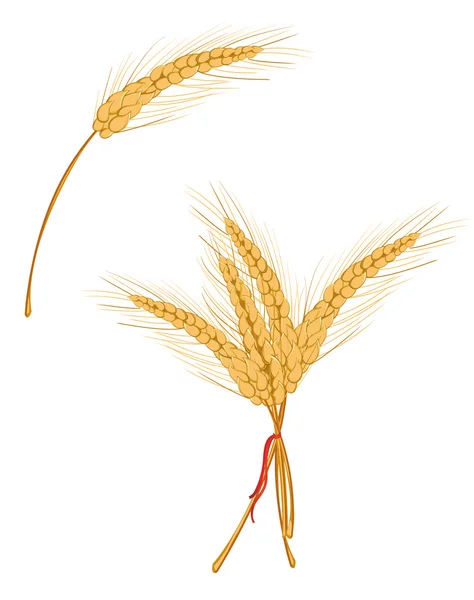 小麦作为农业标志 — 图库矢量图片