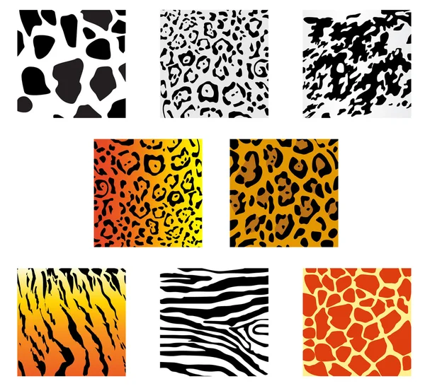 Set Animal Fur Skin Patterns Design — Stock Vector