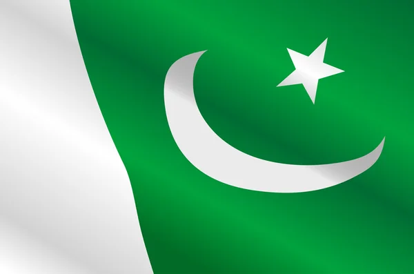Flagge von Pakistan — Stockvektor