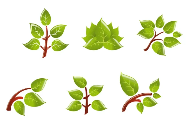 Набор Красочных Листьев Ветке Концепция Экологии — стоковый вектор