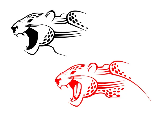 野猫的危险的象征符号 在白色隔离 — 图库矢量图片