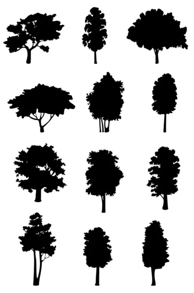 Ağaç Siluetleri — Stok Vektör