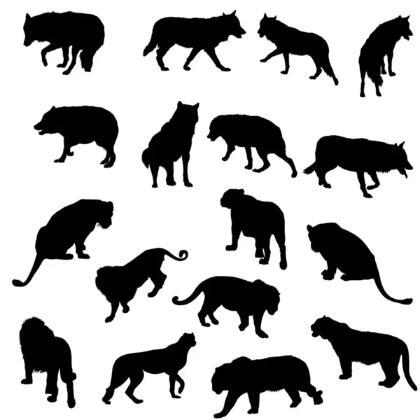 Wölfe, Tiger, Leoparden und Löwen-Silhouetten — Stockvektor