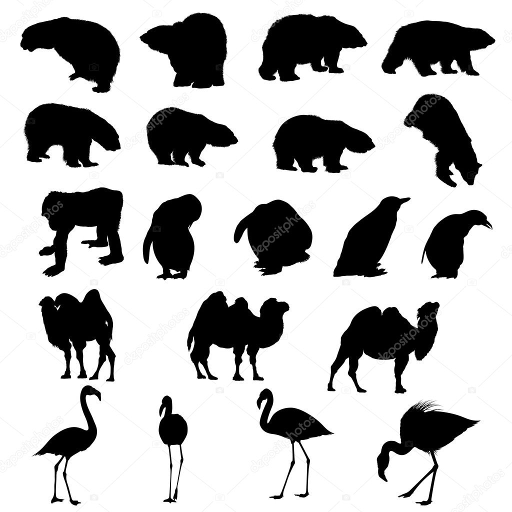 Set of bears, ape, penguins, camels and flamingos silhouettes.