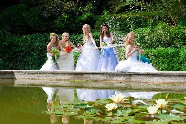 Five beautiful brides outdoors — Stock Photo, Image